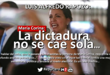 LUIS ALFREDO RAPOZO: La dictadura, no se cae sola…